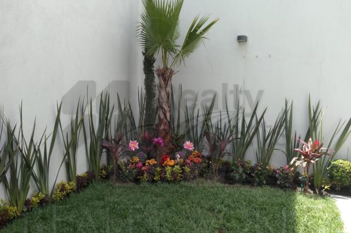 Casa en Renta en Bellavista