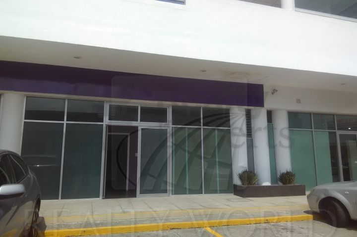 Local en Renta en San Jerónimo Chicahualco