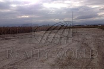 Terreno en Renta en Agrícola Álvaro Obregón