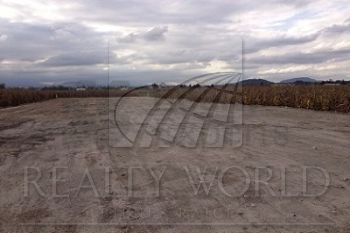 Terreno en Renta en Agrícola Álvaro Obregón