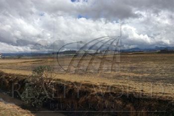Terreno en Venta en San Miguel Totocuitlapilco