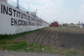 Terreno en Venta en Lázaro Cárdenas