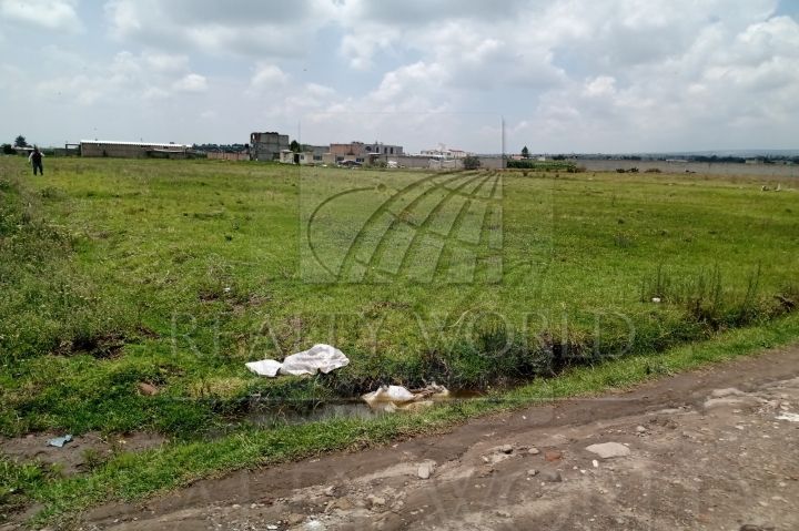 Terreno en Venta en Paraje la Puerta de Barbabosa