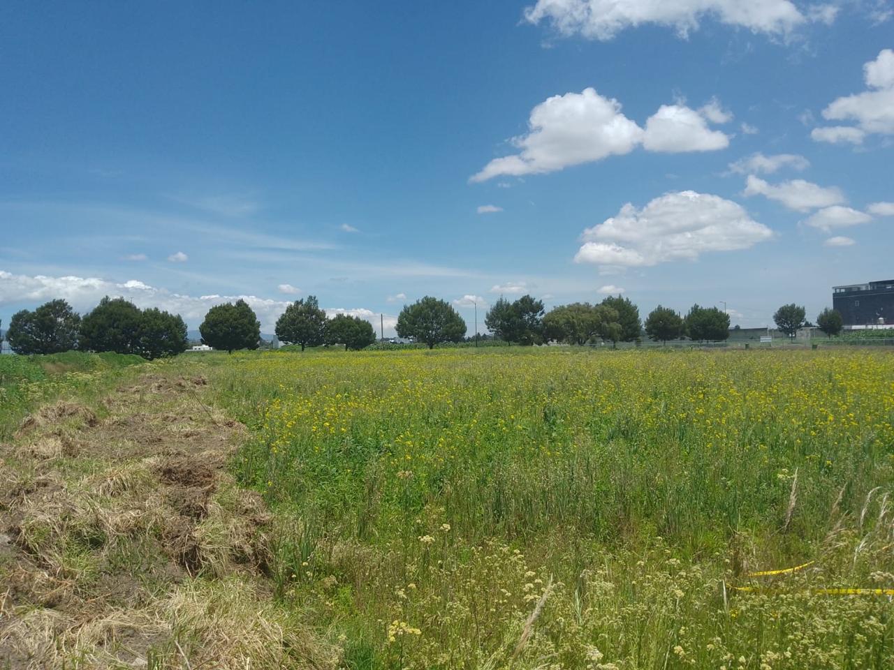 Terreno en Renta en San Miguel Totocuitlapilco