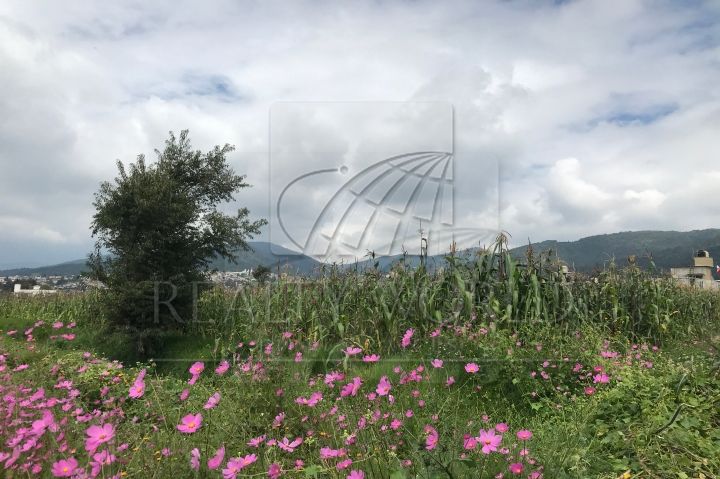 Terreno en Venta en Santa María Atarasquillo