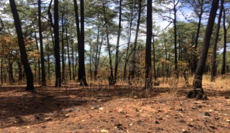 Terreno en Venta en Valle de Bravo