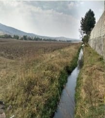 Terreno en Renta en Chapa de Mota