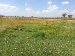 Terreno en Venta en San Pedro Totoltepec