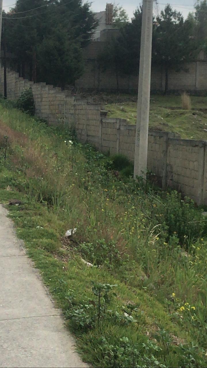 Terreno en Venta en San Miguel Zinacantepec