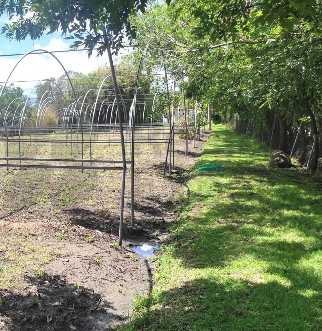 Terreno en Venta en San Antonio Guadalupe