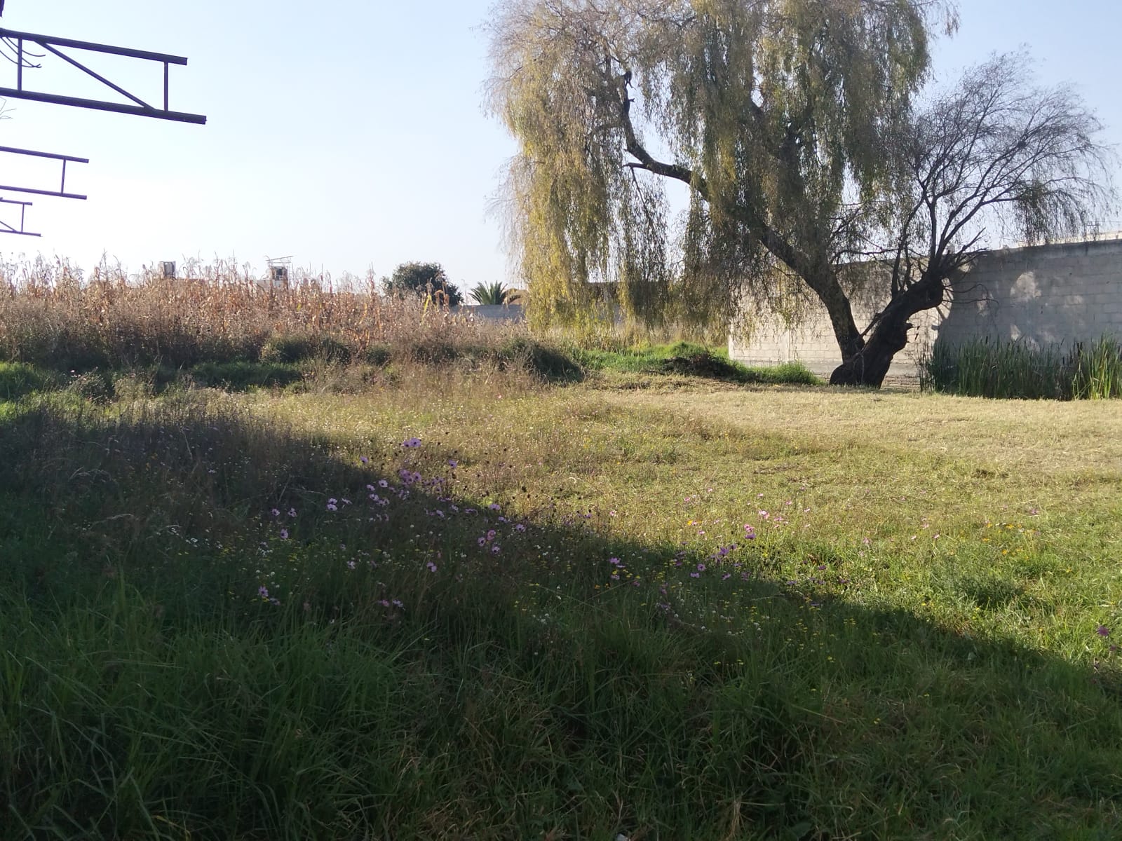 Terreno en Venta en La Magdalena