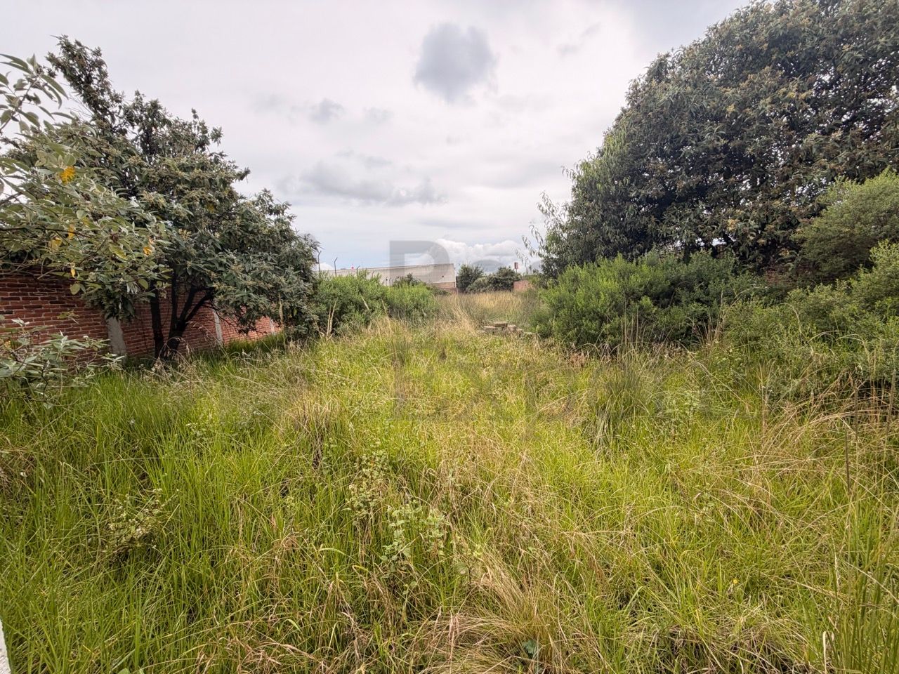 Terreno en Venta en Santa Cruz