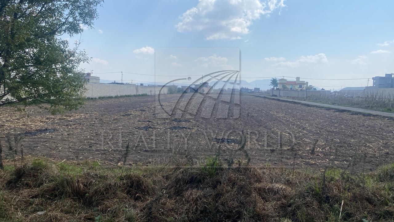Terreno en Venta en Chapultepec