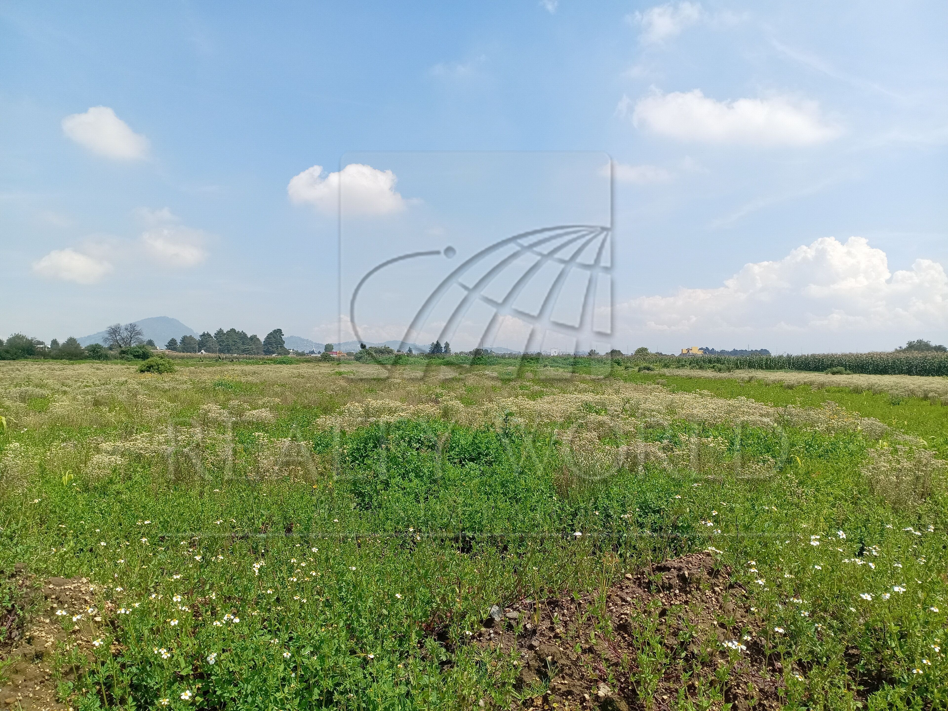 Terreno en Venta en Capultitlán Centro