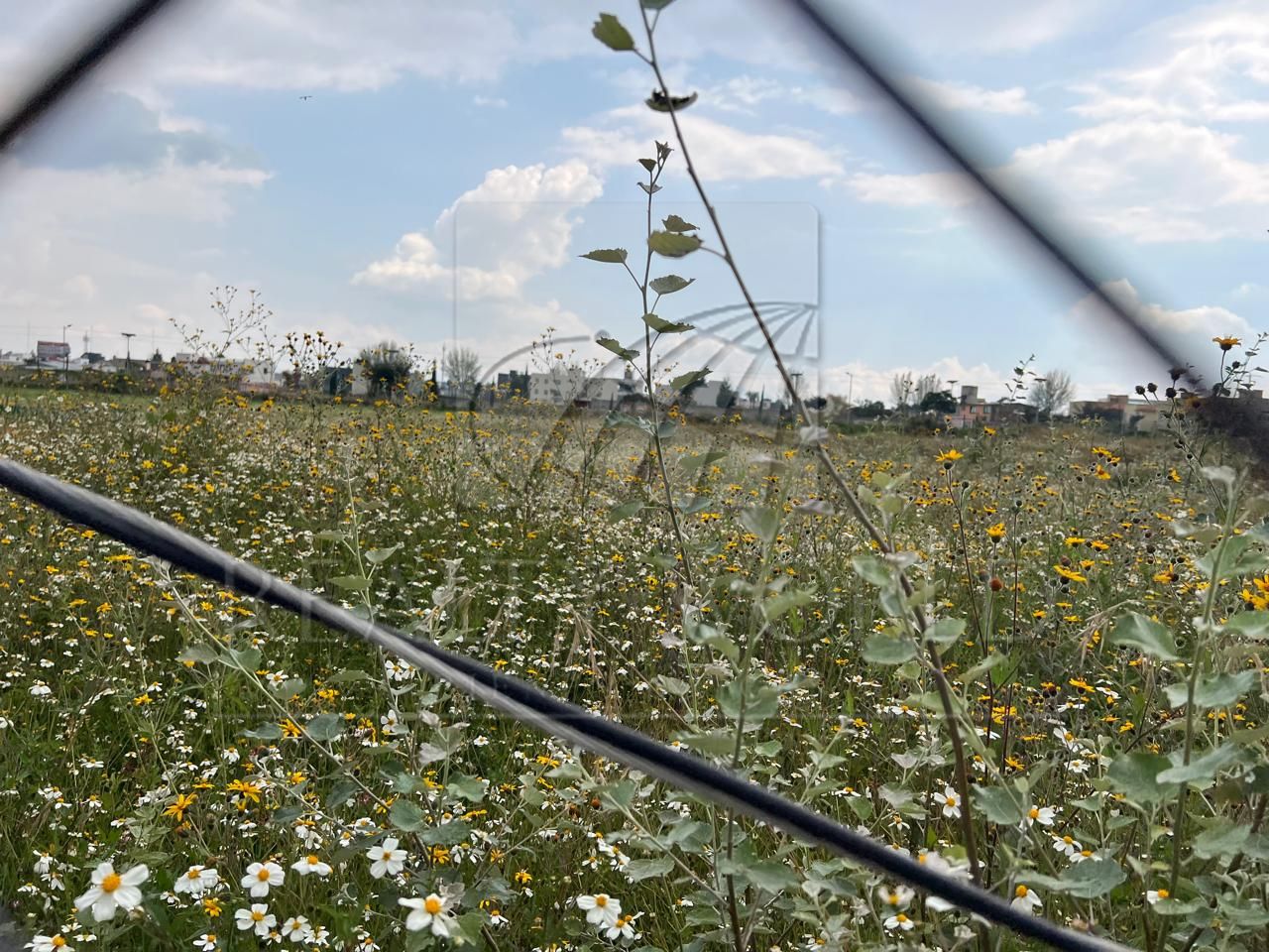 Terreno en Venta en Santa Cruz