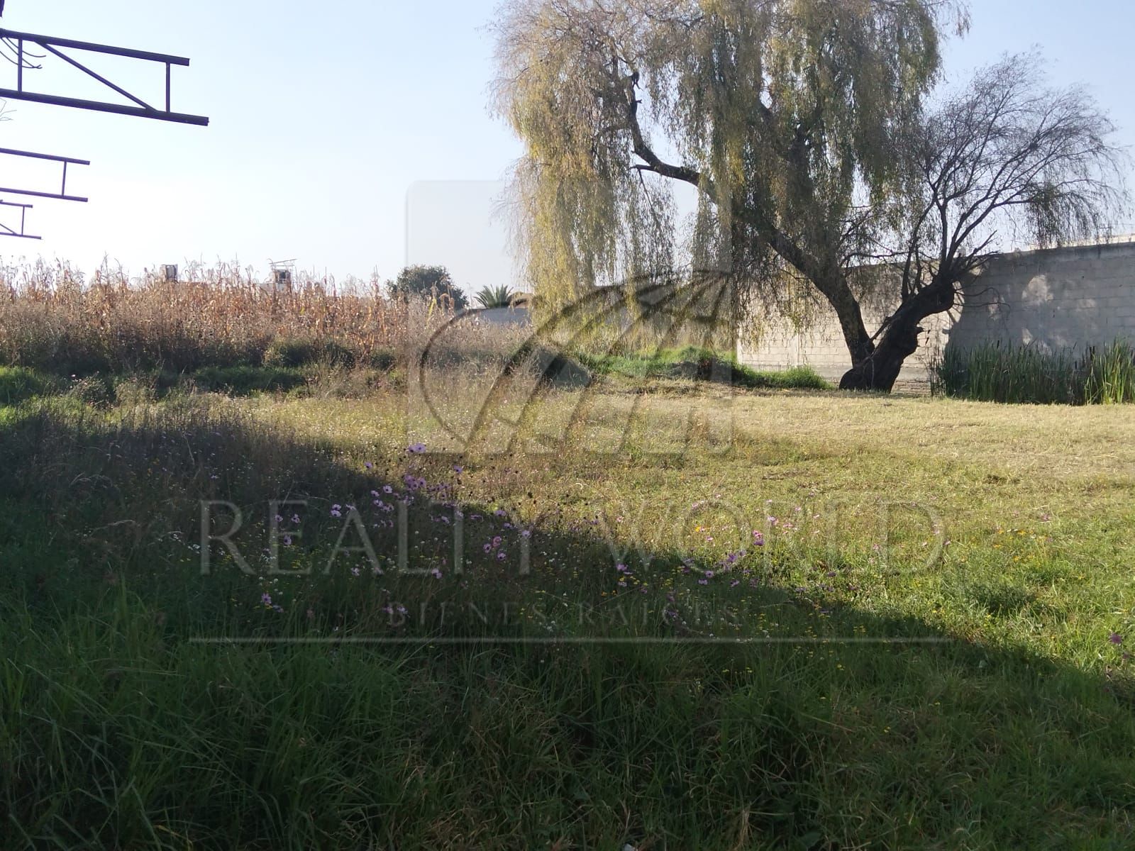 Terreno en Venta en La Magdalena