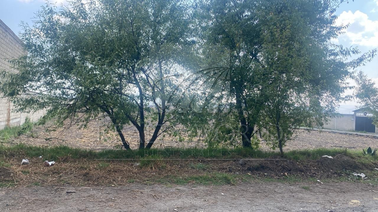 Terreno en Venta en Chapultepec