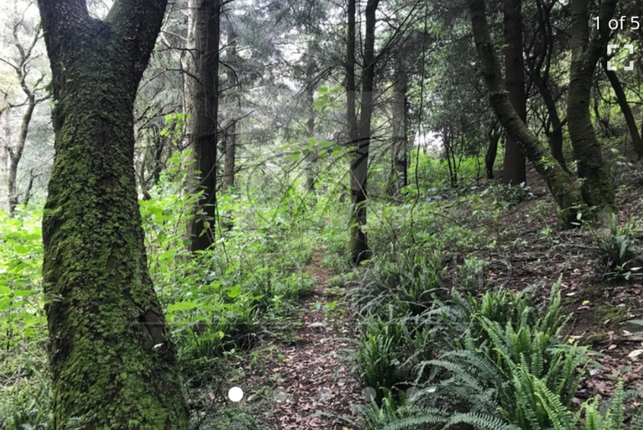 Terreno en Venta en Cañada de Alférez