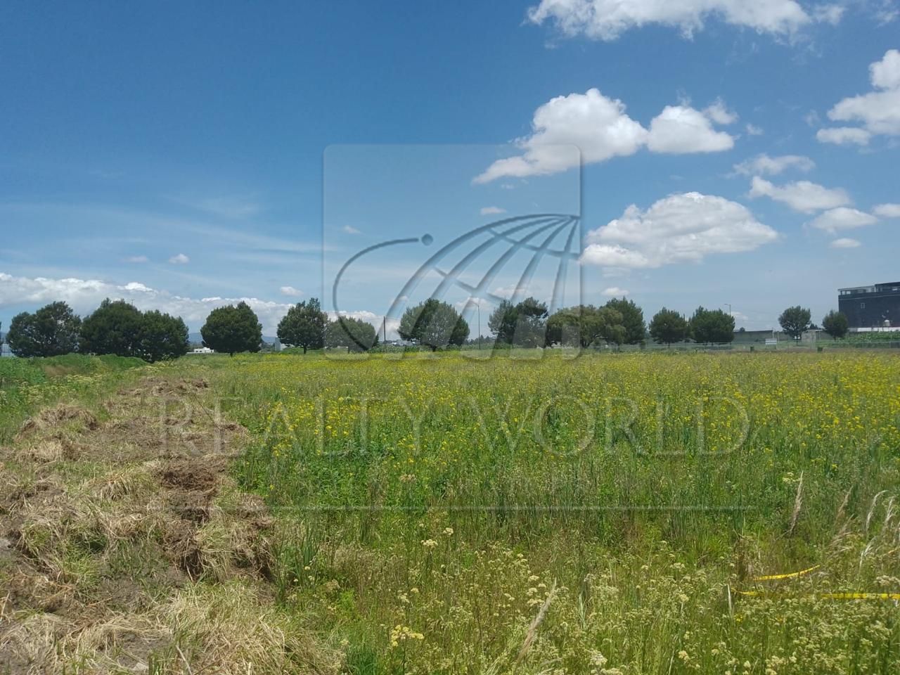 Terreno en Renta en San Miguel Totocuitlapilco