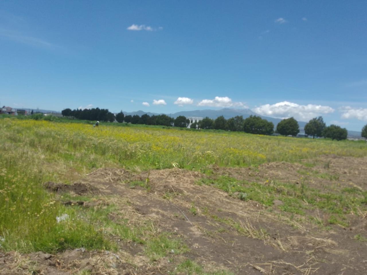 Terreno en Renta en San Miguel Totocuitlapilco