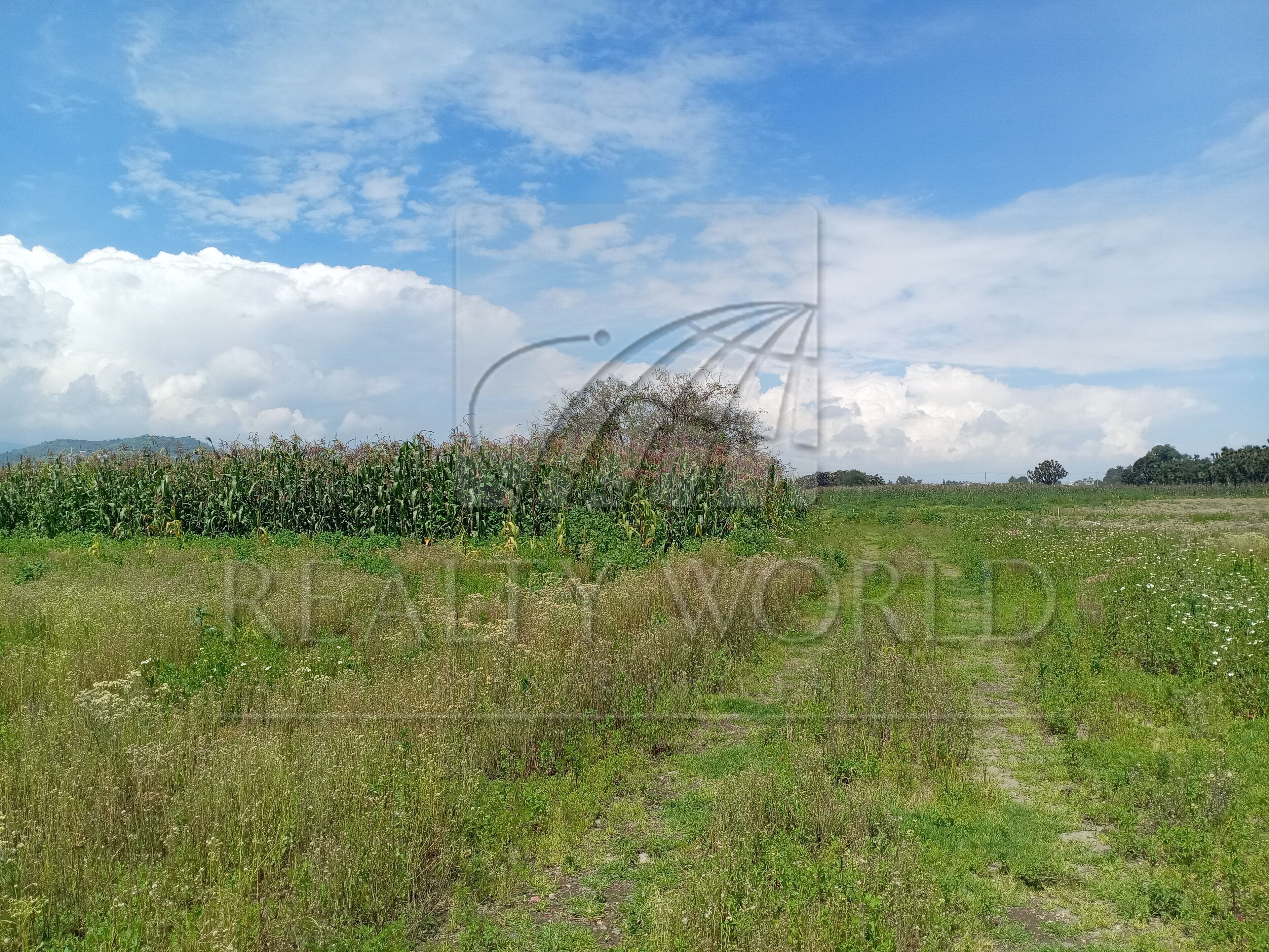 Terreno en Venta en Capultitlán Centro