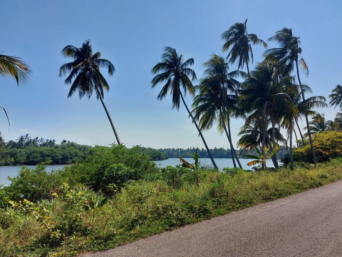 Terreno en Venta en La Unión 2a Secc