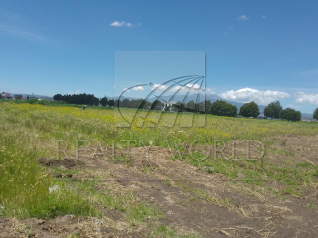 Terreno en Renta en San Miguel Totocuitlapilco