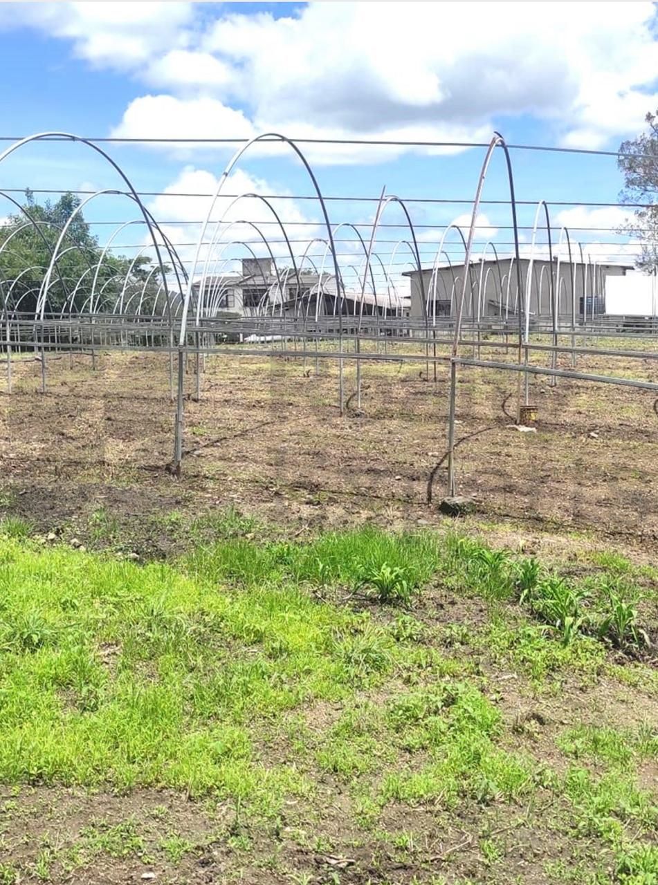 Terreno en Venta en San Antonio Guadalupe