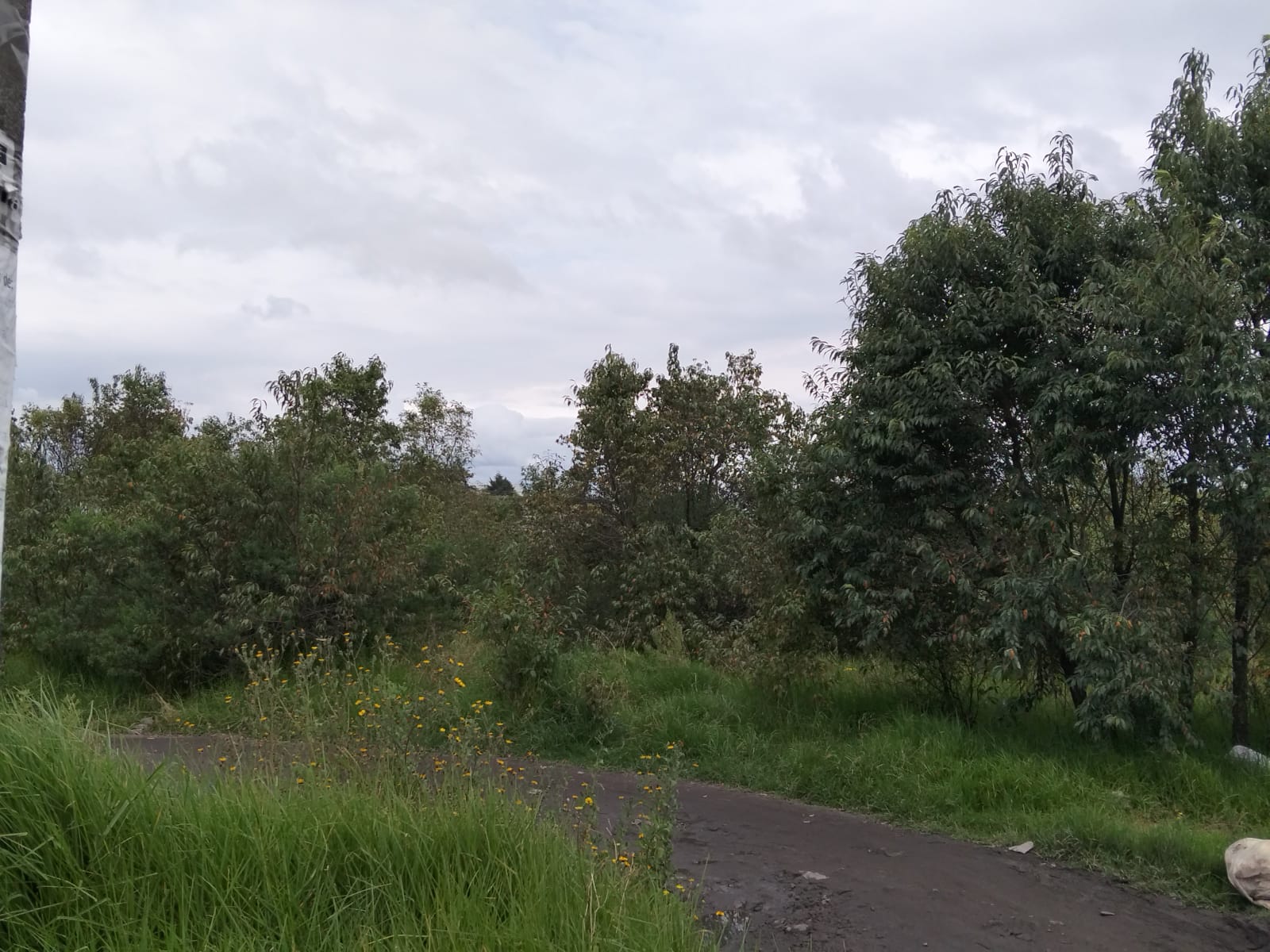 Terreno en Venta en San Miguel Totoltepec