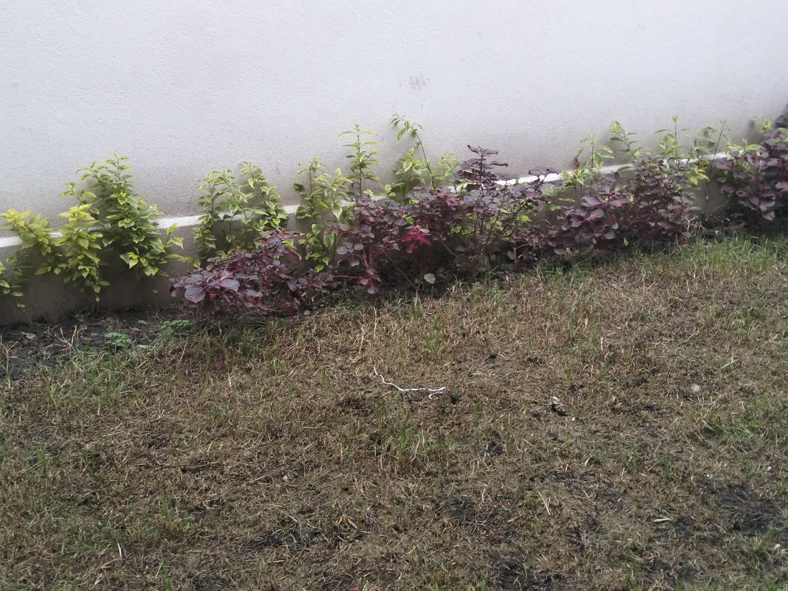 Casa en Venta en Metepec