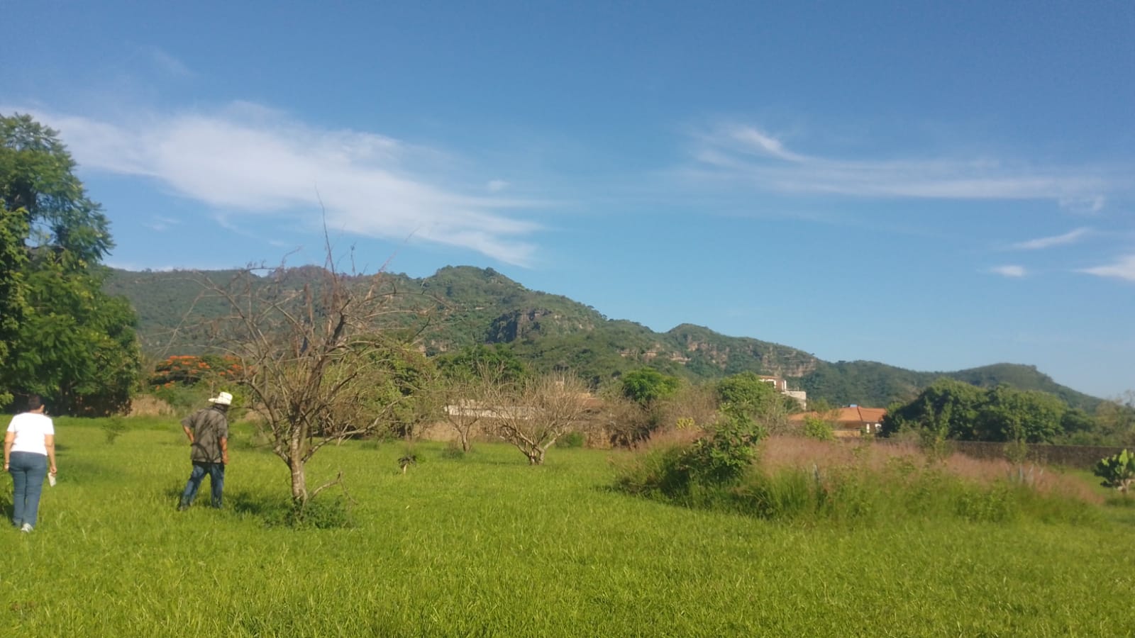 Terreno en Venta en Malinalco