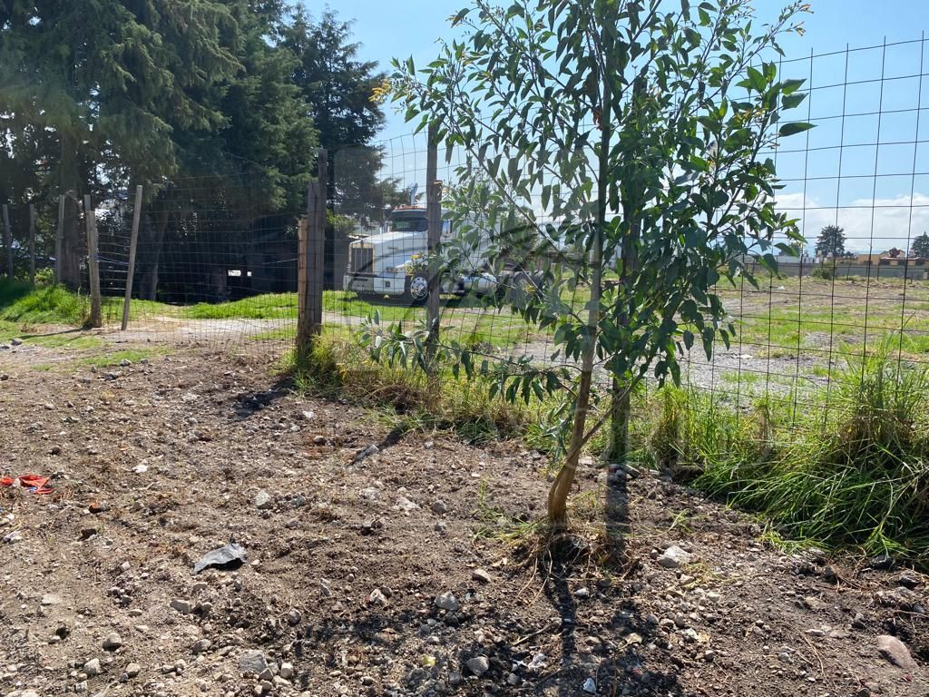 Terreno en Renta en Álvaro Obregón