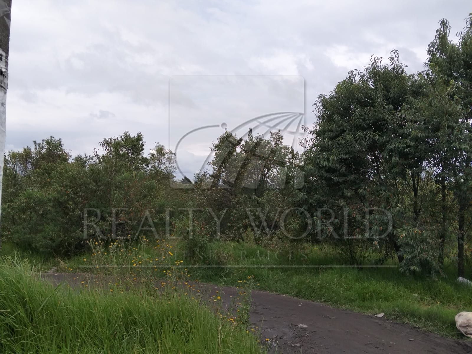 Terreno en Venta en San Miguel Totoltepec