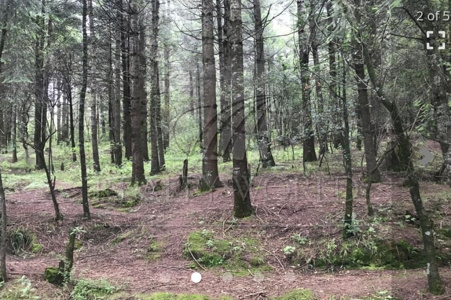 Terreno en Venta en Cañada de Alférez