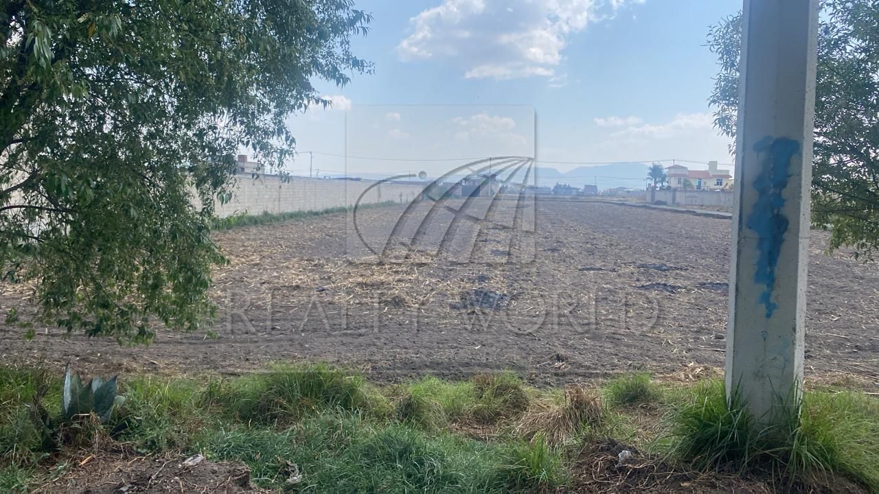 Terreno en Venta en Chapultepec