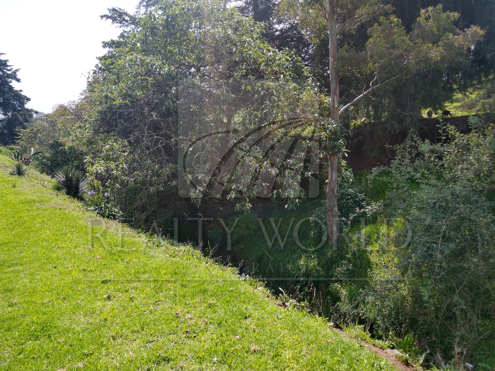 Terreno en Venta en Santa María Atarasquillo
