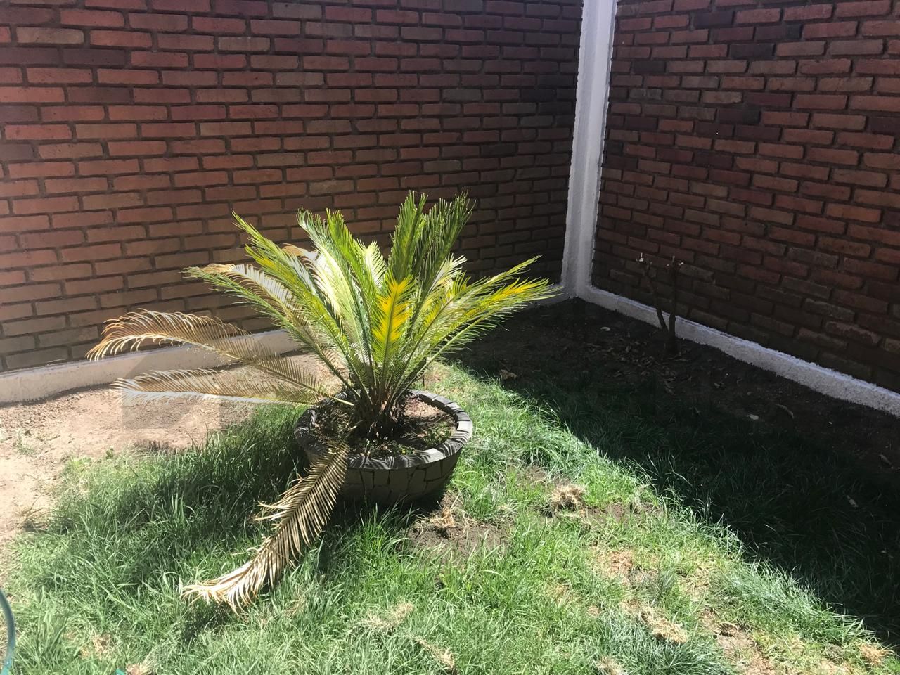 Casa en Renta en La Loma