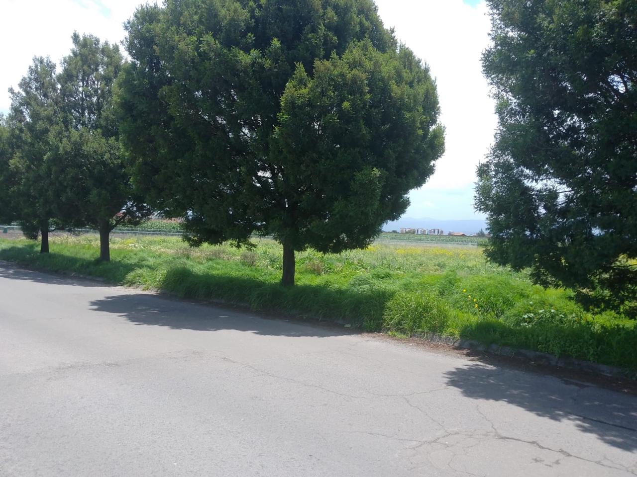 Terreno en Renta en San Miguel Totocuitlapilco