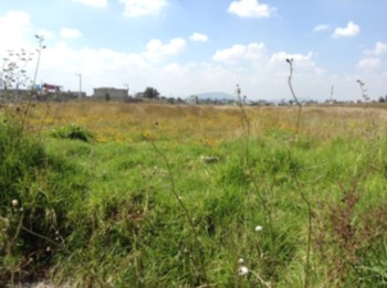 Terreno en Venta en San Pedro Totoltepec