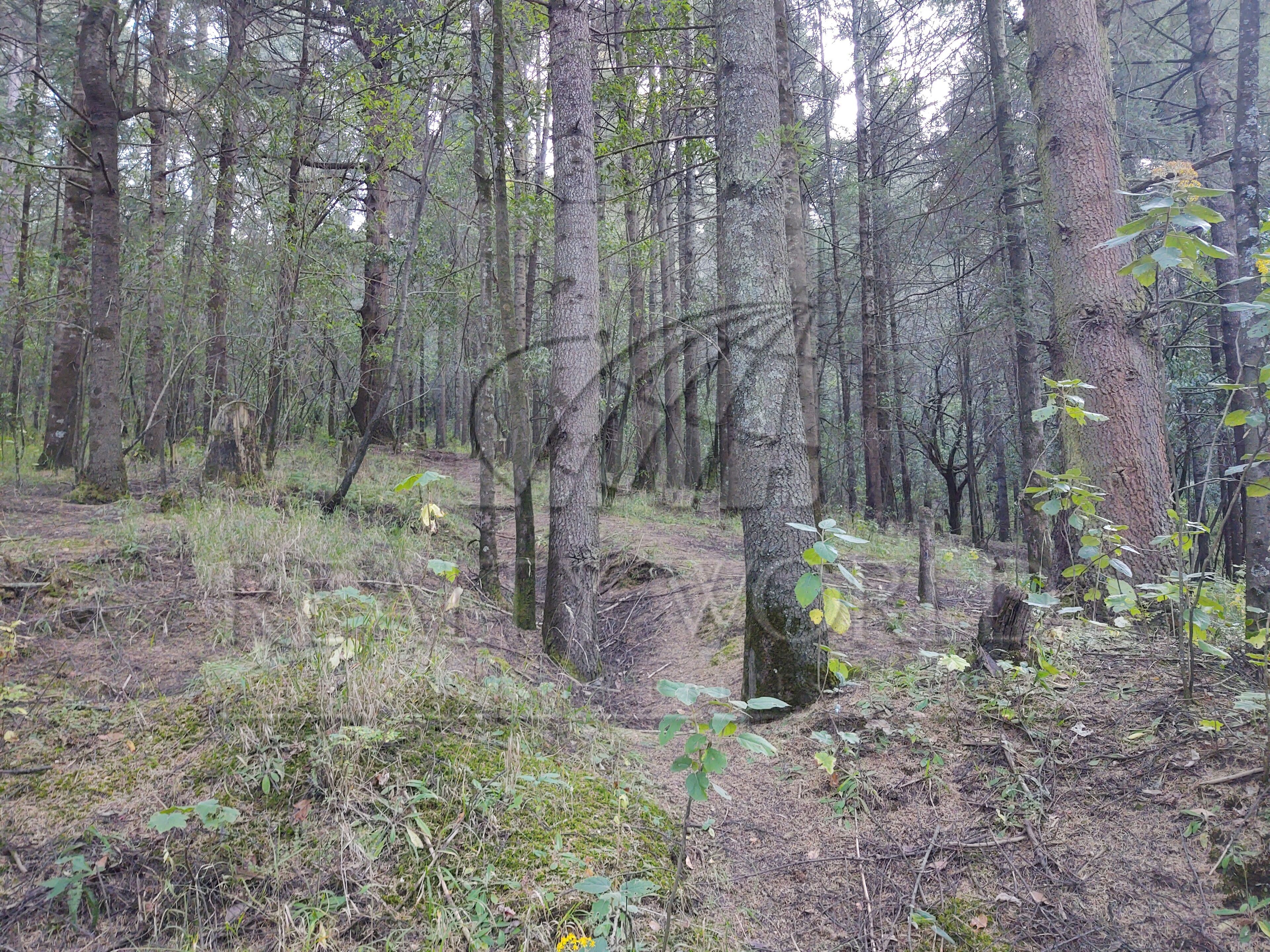 Terreno en Venta en Cañada de Alférez