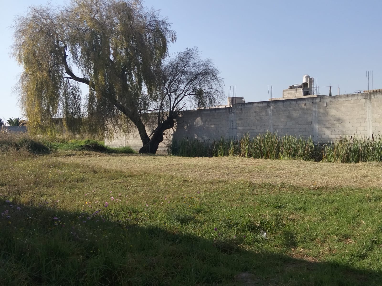 Terreno en Venta en La Magdalena