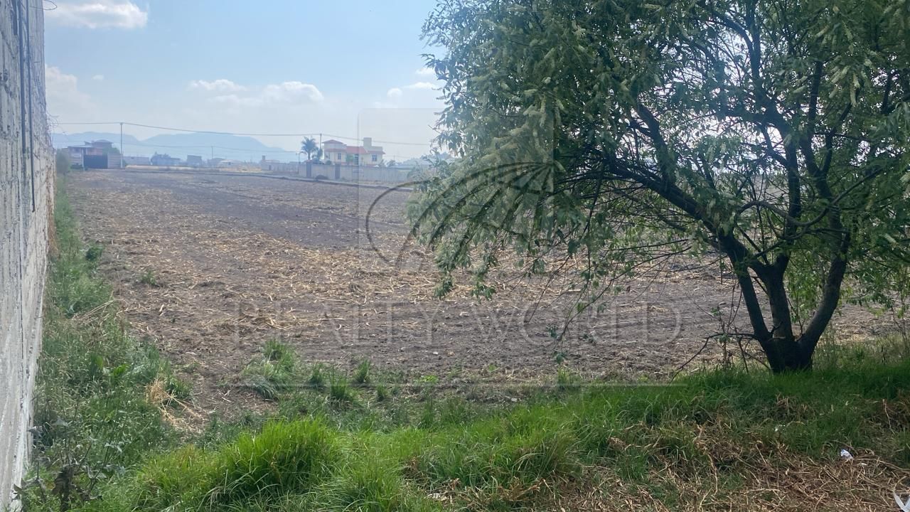 Terreno en Venta en Chapultepec