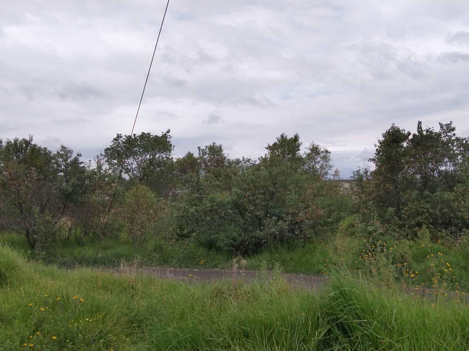 Terreno en Venta en San Miguel Totoltepec