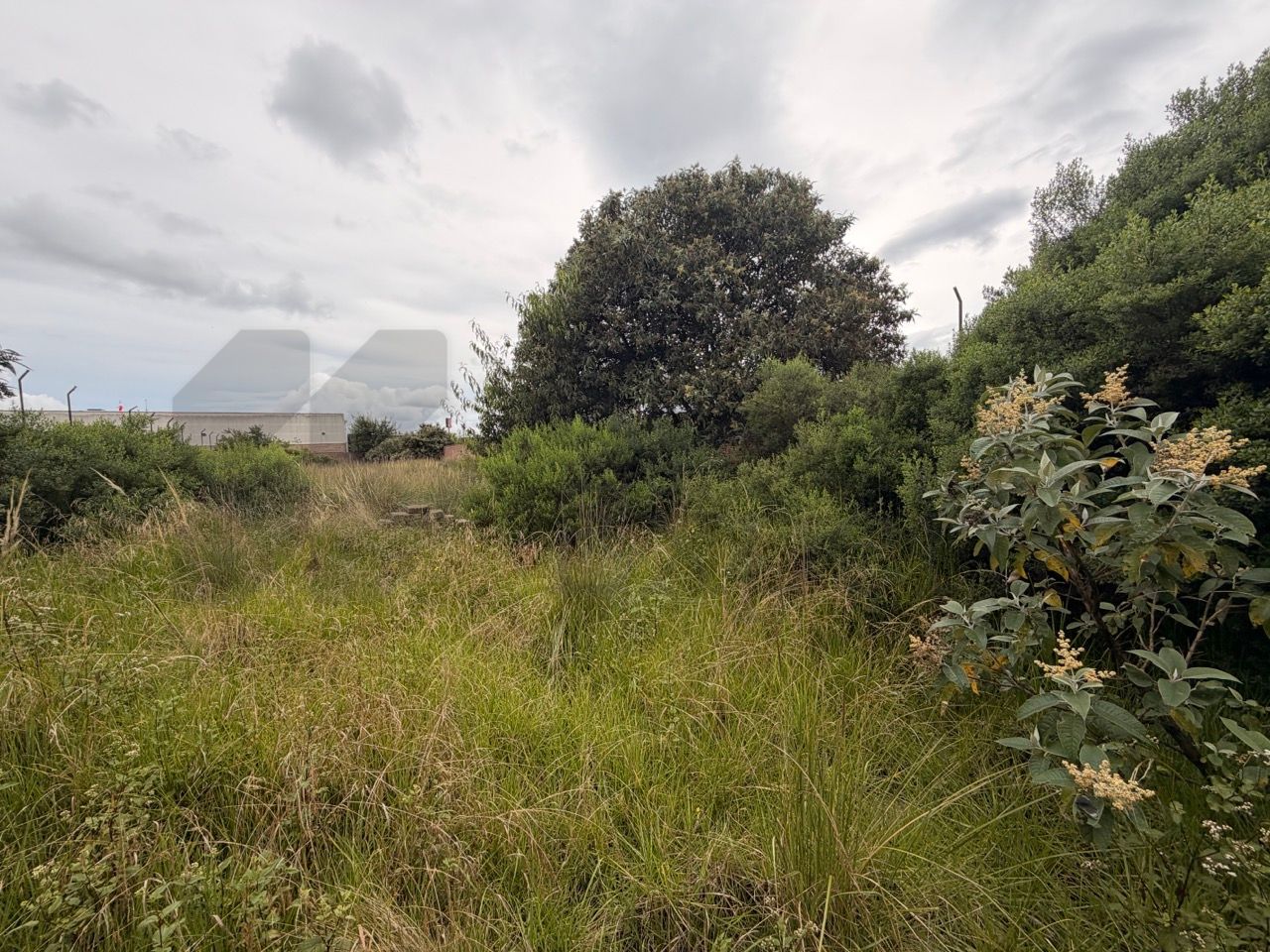 Terreno en Venta en Santa Cruz