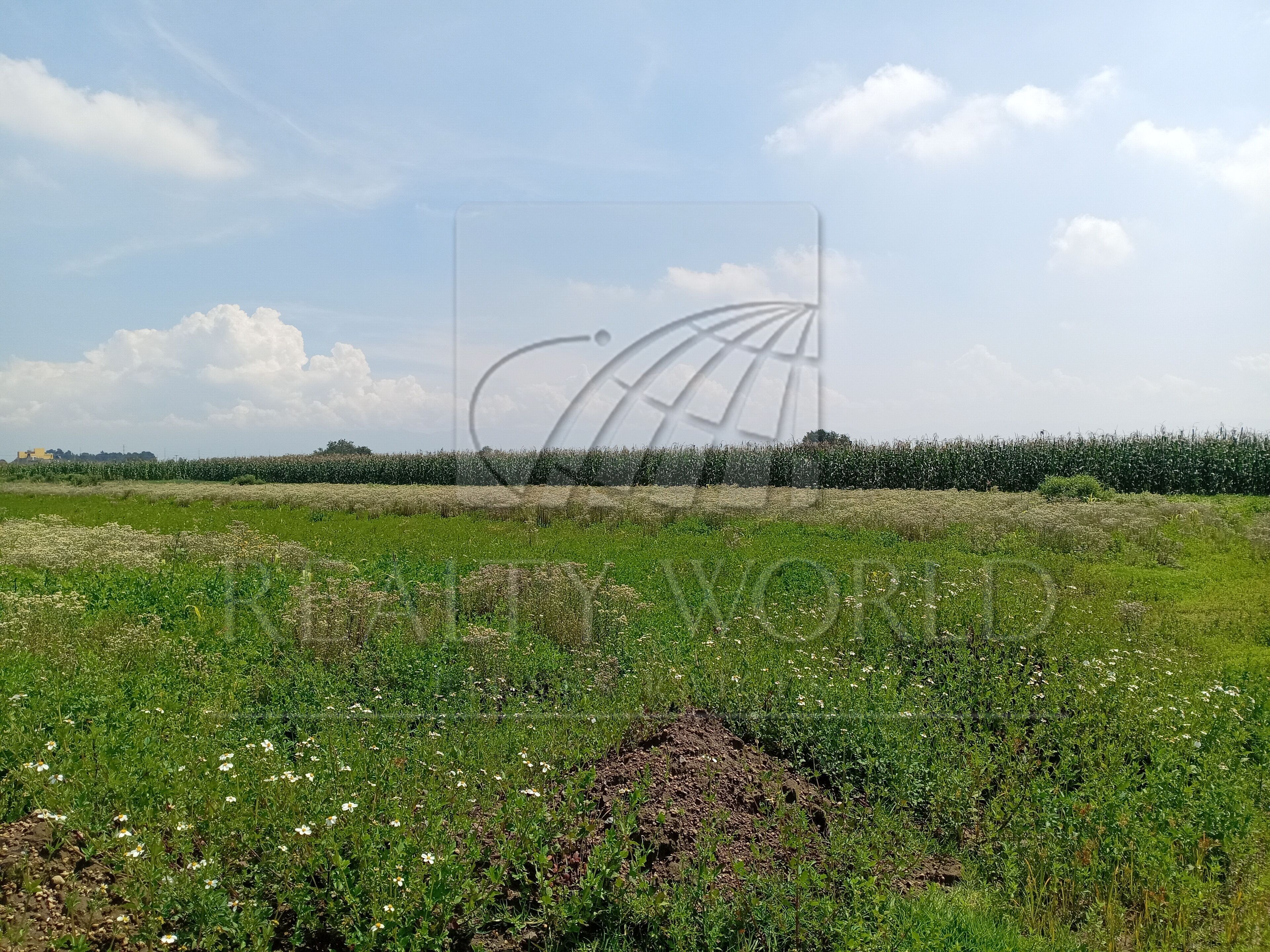 Terreno en Venta en Capultitlán Centro
