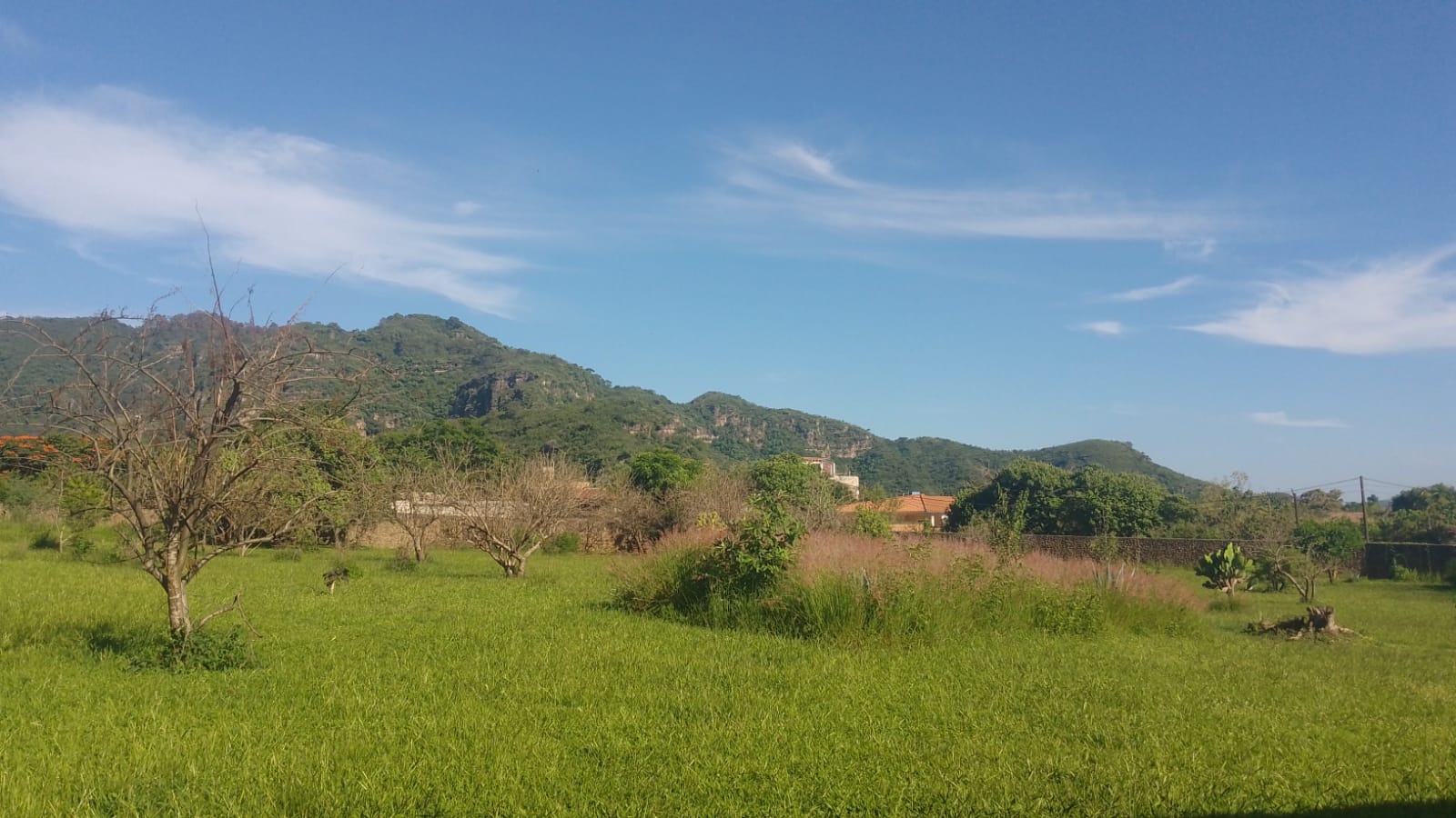 Terreno en Venta en Malinalco