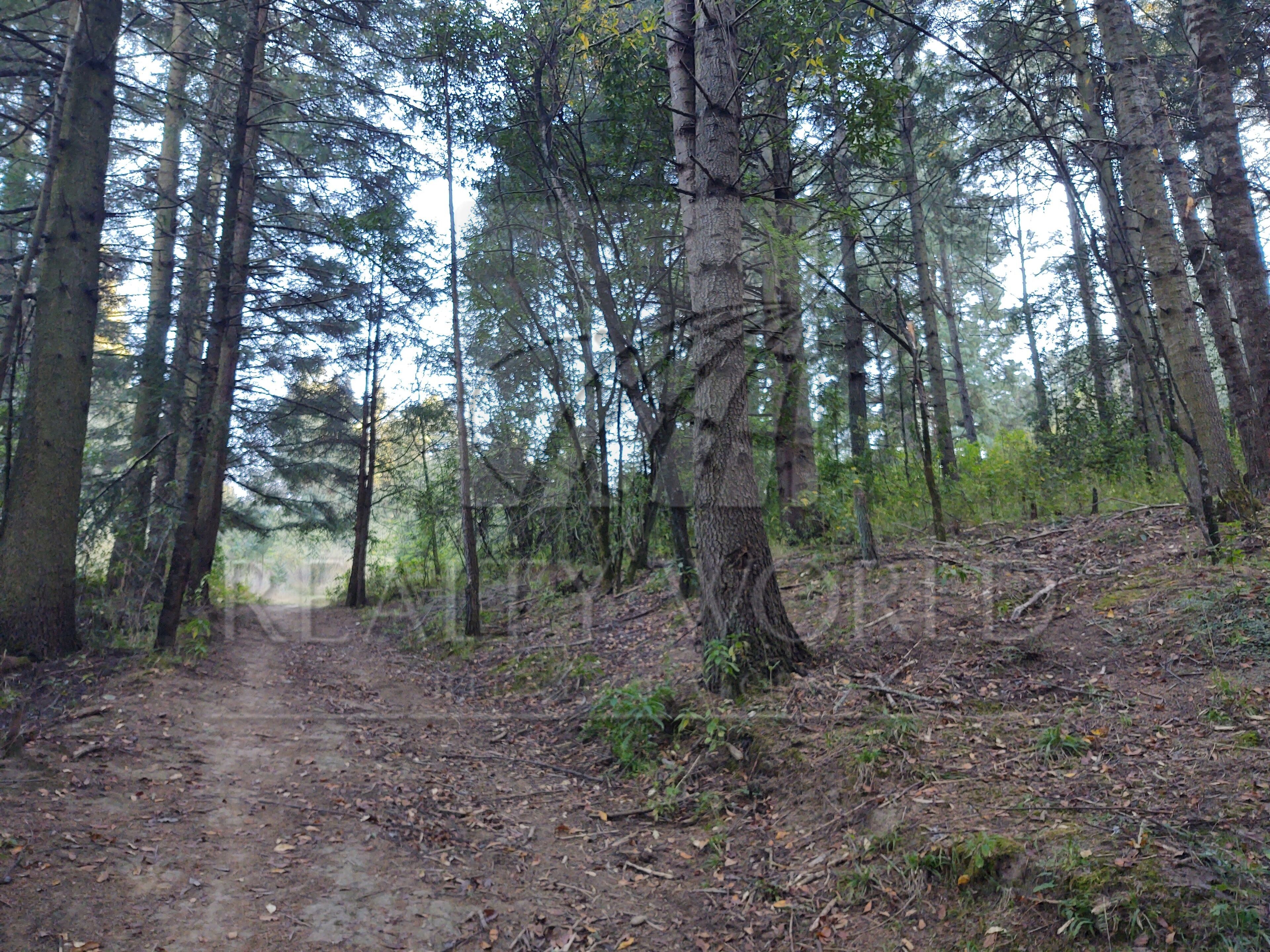 Terreno en Venta en Cañada de Alférez