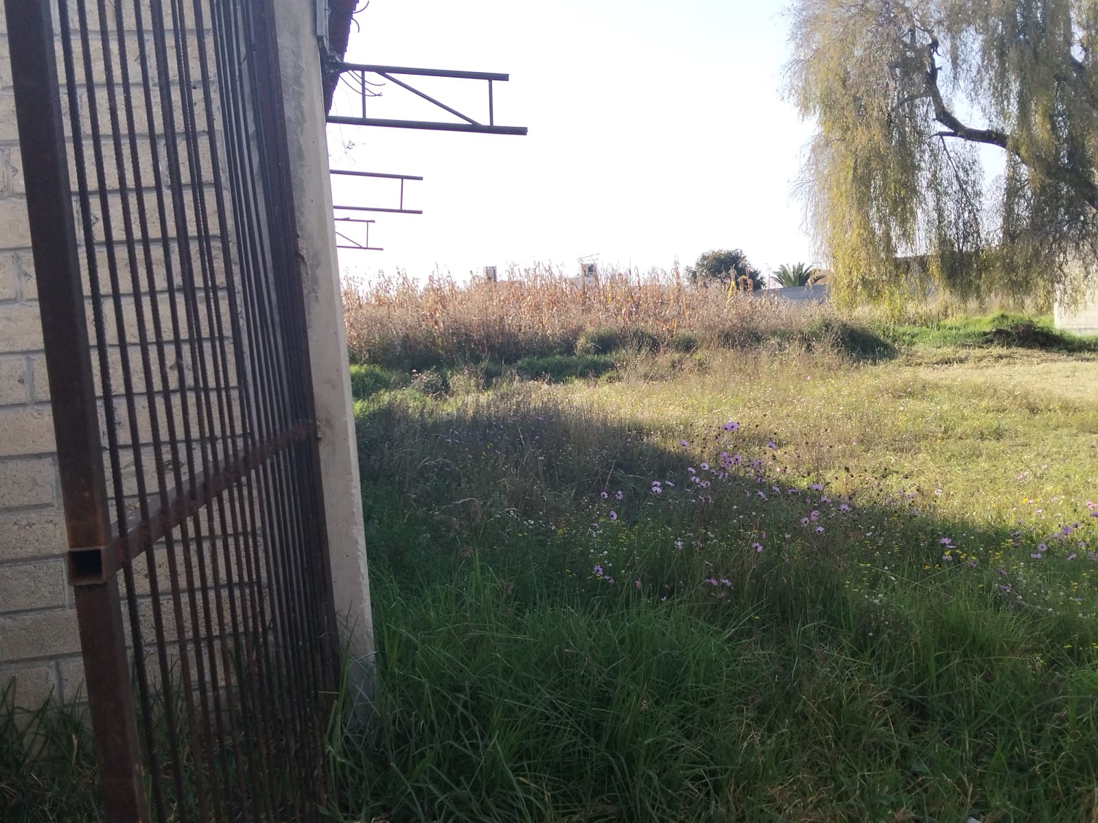 Terreno en Venta en La Magdalena