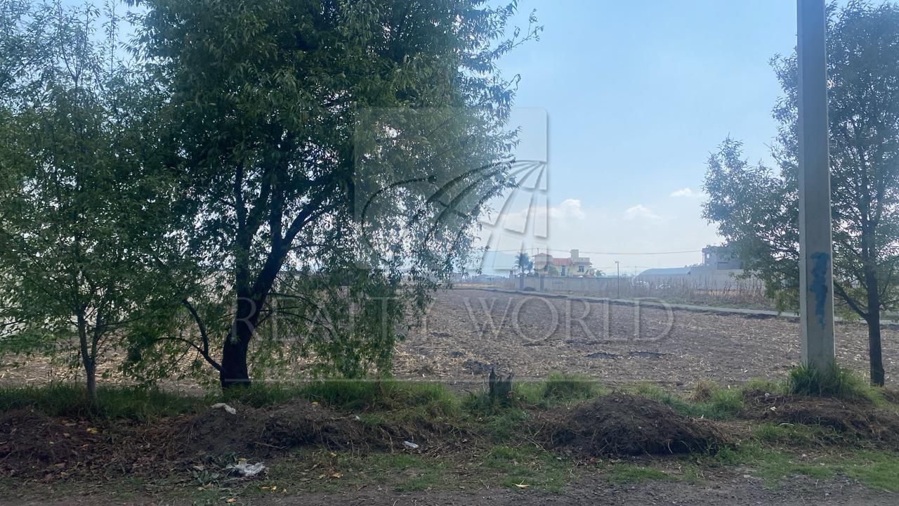 Terreno en Venta en Chapultepec