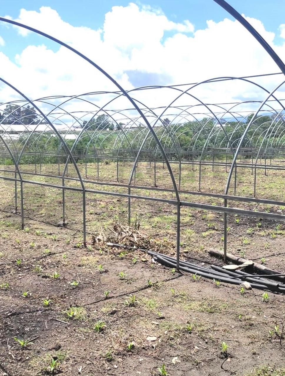 Terreno en Venta en San Antonio Guadalupe